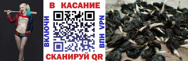 Галлюциногенные грибы Саки