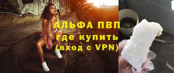 прущие грибы Аркадак