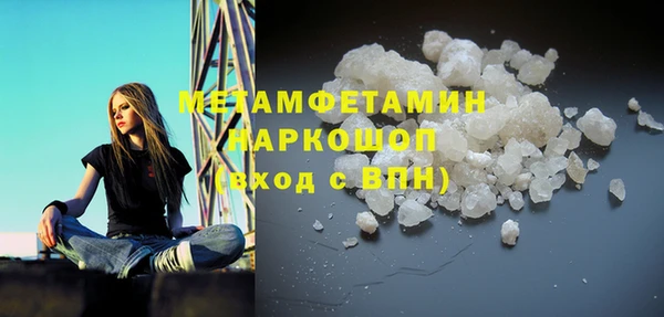 прущие грибы Аркадак