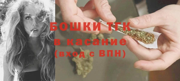 индика Арсеньев