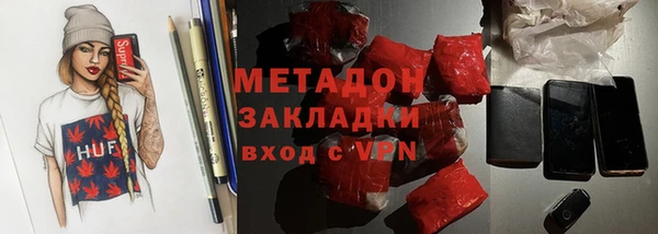 индика Арсеньев
