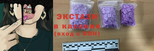 индика Арсеньев