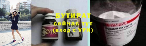 индика Арсеньев