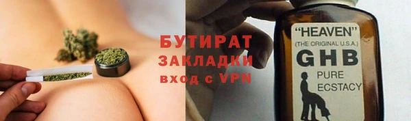 индика Арсеньев