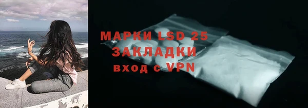 прущие грибы Аркадак