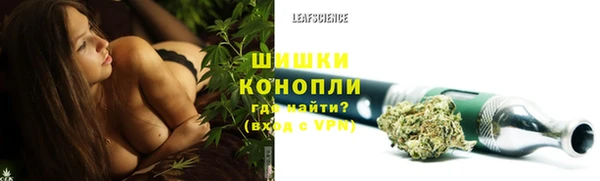 индика Арсеньев