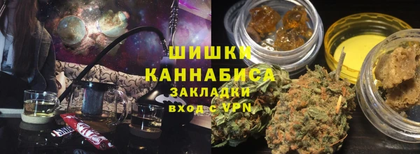 прущие грибы Аркадак