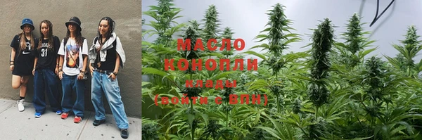 индика Арсеньев