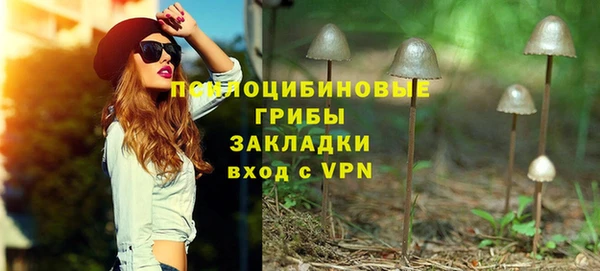 прущие грибы Аркадак