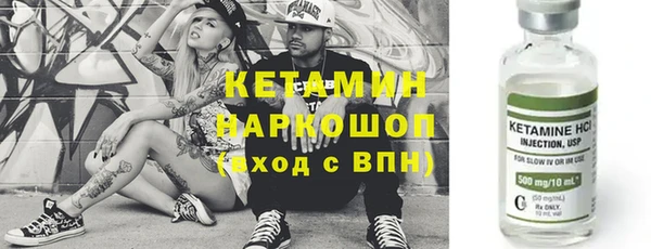 индика Арсеньев