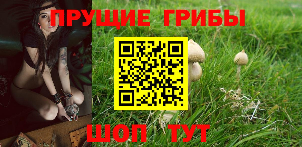 Псилоцибиновые грибы ЛСД  Вход с VPN  продажа наркотиков  Саки 
